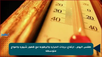 طقس اليوم.. ارتفاع درجات الحرارة والرطوبة مع ظهور شبورة وأمواج متوسطة